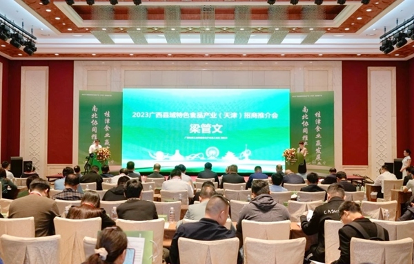 推介会现场。