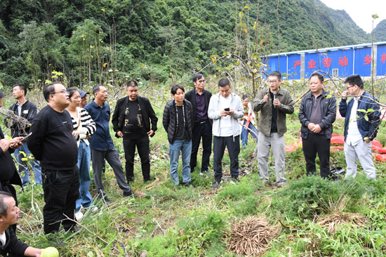 广西罗城长通现代农业综合开发有限公司技术人员在给群众培训中药材种植技术。 (1)