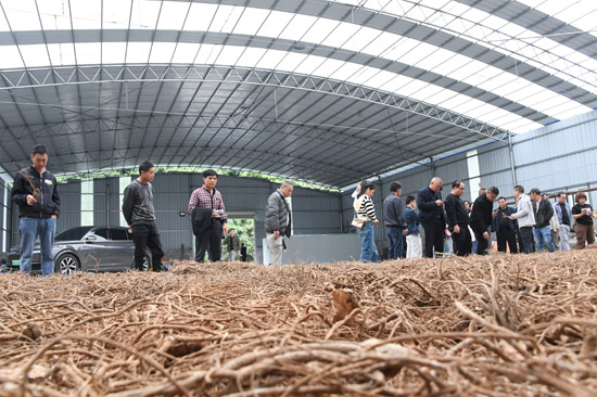 参加活动人员在广西罗城长通现代农业综合开发有限公司药王谷中草药产业示范园仓库参观。