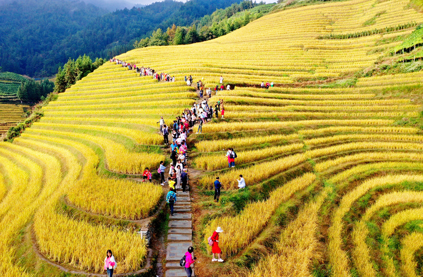 游客在景区观光游览。潘志祥摄
