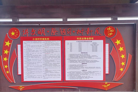 宜州區小龍村村規民約。宜州區農業農村局供圖