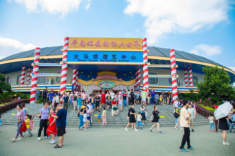 游客在平南雄森動物大世界大馬戲演藝中心觀看表演。平南縣委組織部供圖