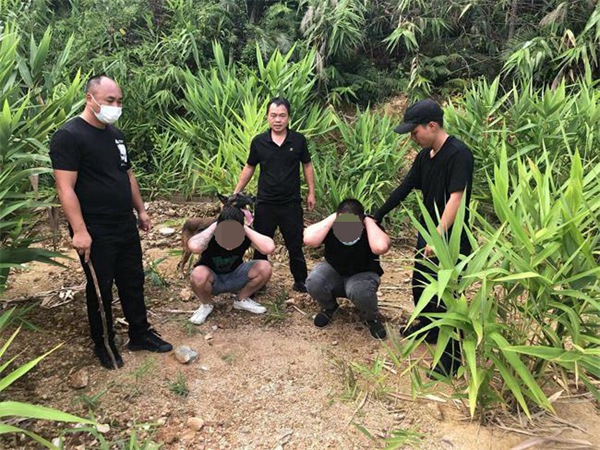警犬协助抓捕涉偷越国（边）境嫌疑人