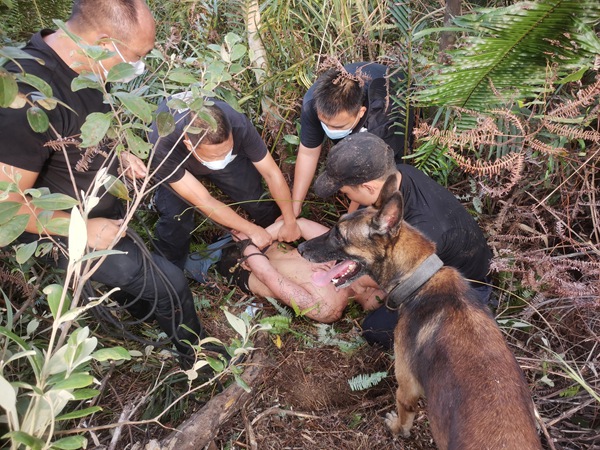 警犬协助抓捕涉偷越国（边）境嫌疑人