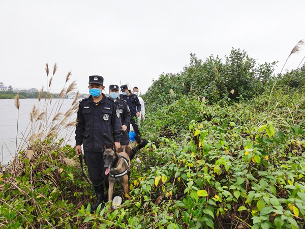训导员带领警犬在边海一线巡逻