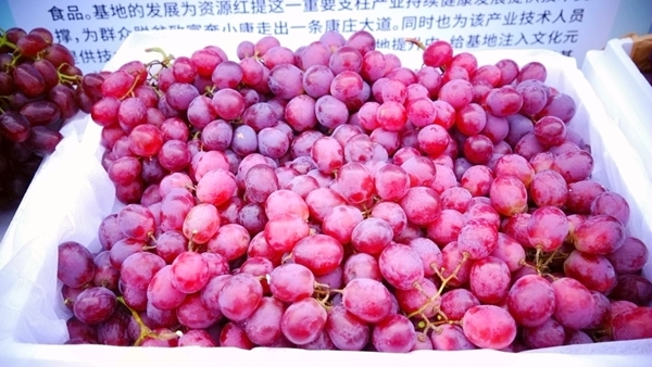 资源红提