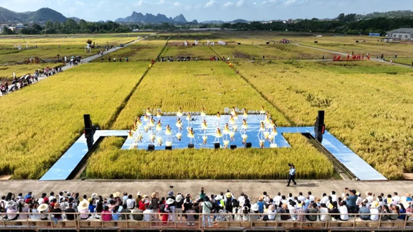 11月10日，玉林市庆祝中国农民丰收节暨鬱上秋收稻田文化艺术节开幕式在五彩田园隆平高科水稻示范基地举行。