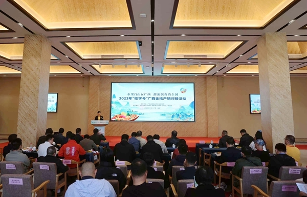 活动现场。主办方供图