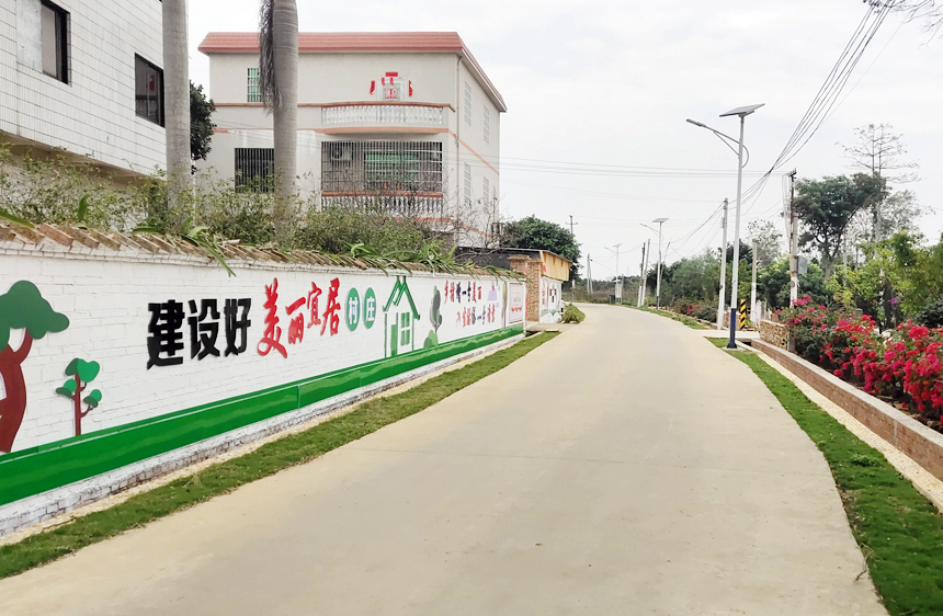 乡村整洁有序