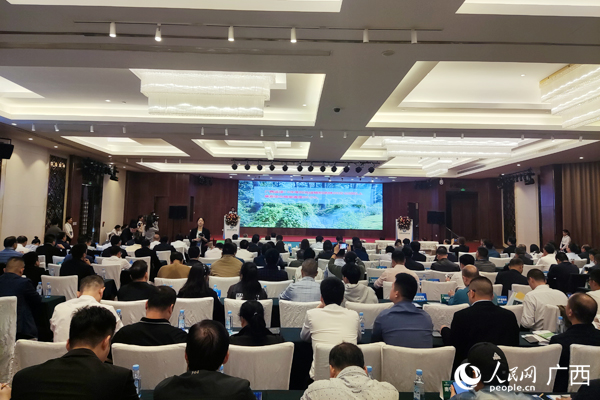 对接会现场。人民网记者 王勇摄