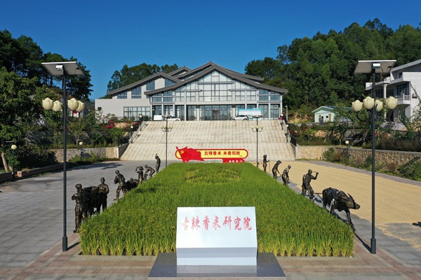 古辣香米研究院。