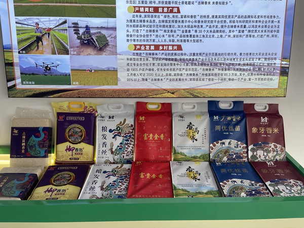 古辣香米。宾阳县委宣传部供图