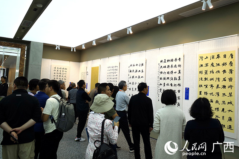 市民逛展。人民网记者 覃心摄