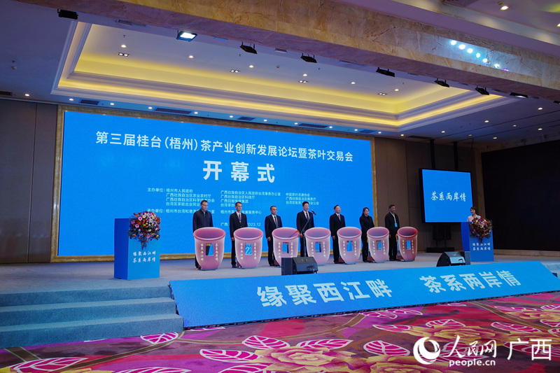 开幕仪式现场。人民网记者 覃心摄