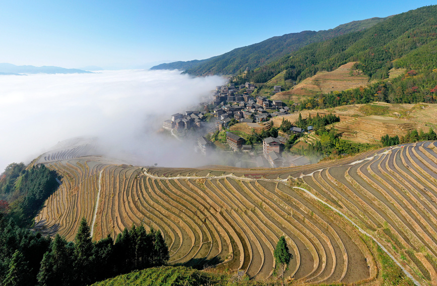 在龙脊梯田拍摄的云海美景。潘志祥摄