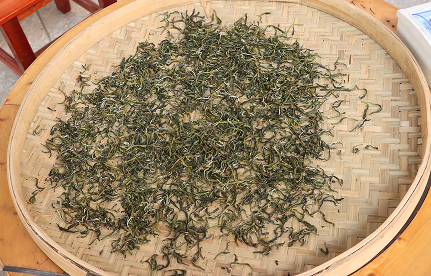 观察茶叶状态，制茶即将完成。黄紫玥摄