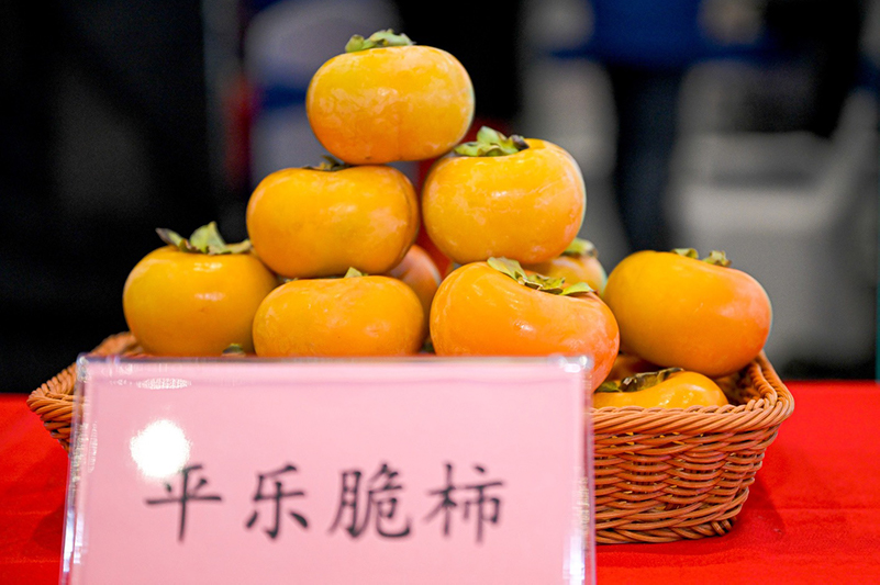 现场展出的。主办方供图