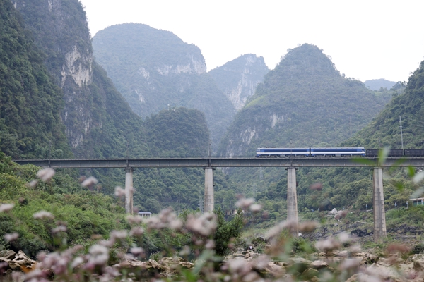 2023年，一列貨物列車從新黔桂鐵路六甲龍江橋經過。封榮權 攝.jpg