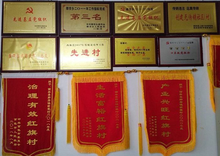 帮扶村在学校指导下获得荣誉