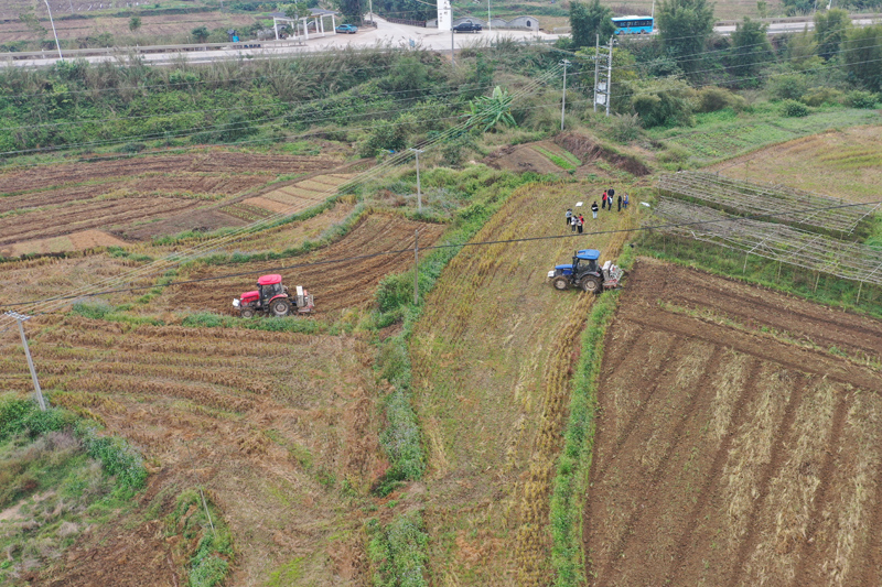 油菜播種機正在作業。李佳園攝
