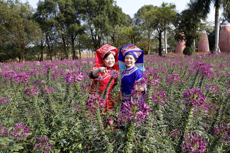 游客在忻城縣薰衣草庄園賞花游玩。樊紹光攝
