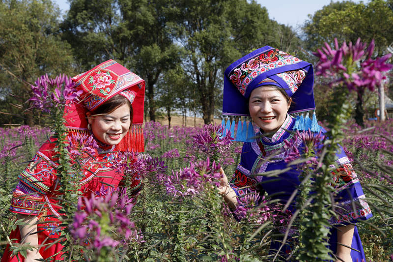 游客在忻城縣薰衣草庄園賞花游玩。樊紹光攝