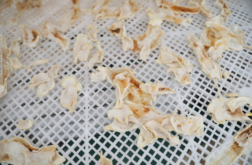 新鲜萝卜经过加工烘干后成为深受市场欢迎的土特产。上思县融媒体中心供图