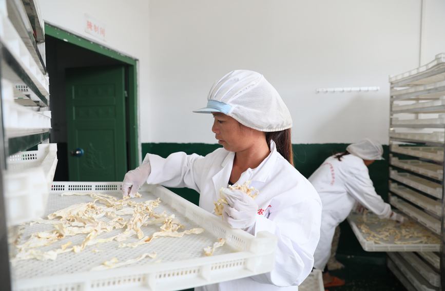 工人们将新鲜萝卜制作成萝卜干。上思县融媒体中心供图