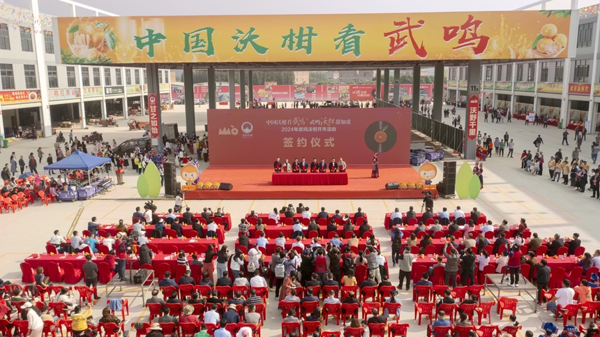 活动现场。武鸣融媒体中心供图