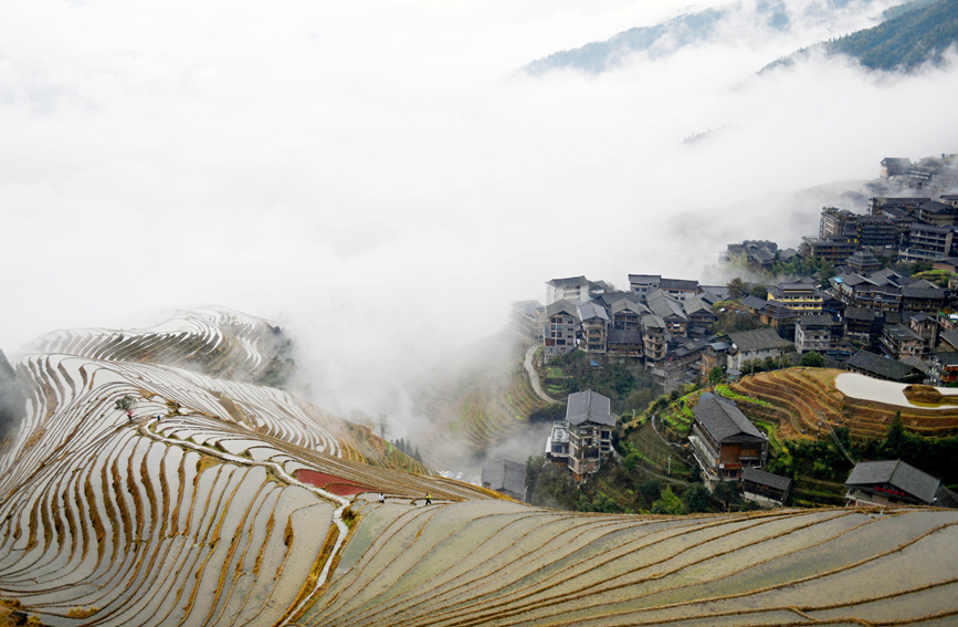 梯田雲霧景觀