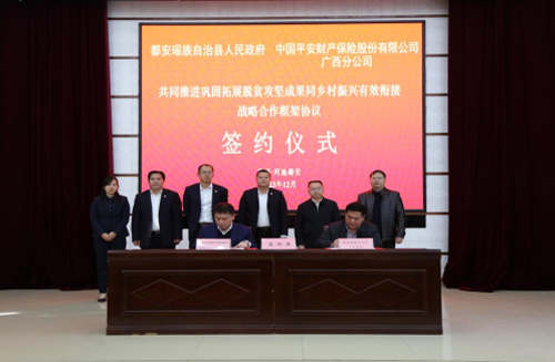 签约仪式现场。平安产险广西分公司供图