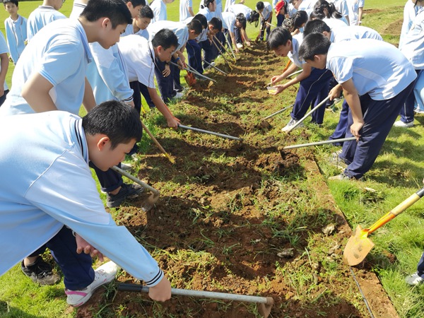 学生在校外劳动教育基地开展劳动教育实践活动