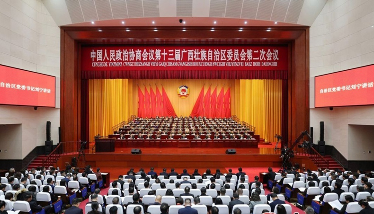 自治区政协十三届二次会议在南宁开幕
