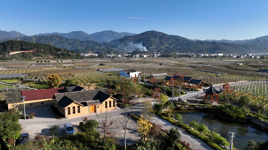 军民鱼水龙溪村项目，包括粟传谅故居、红军井等红色文化区