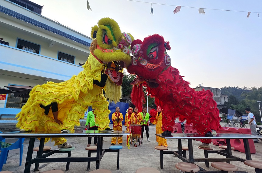 1月19日，廣西寧明縣峙浪鄉邊境舞獅隊隊員正在認真排練准備參加春節和廟會文體活動表演。
