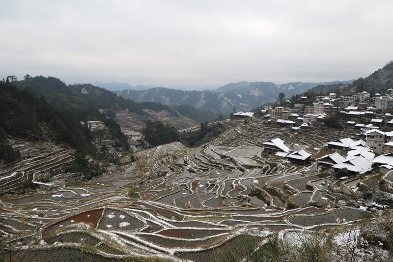 小桑村梯田雪景