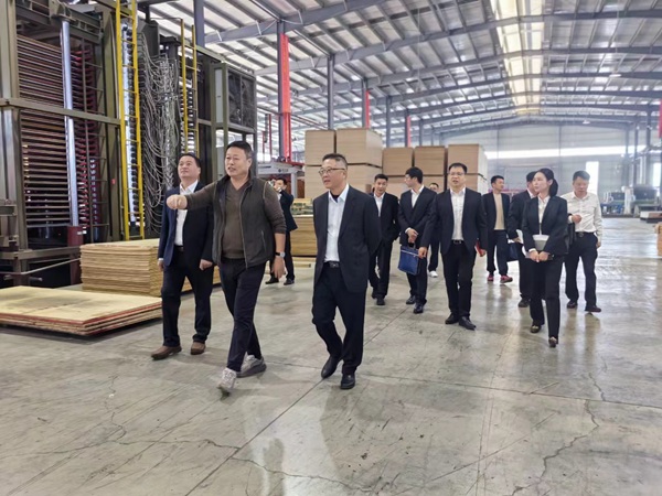 圖說：柳州銀行木材加工產業服務突擊小組深入企業走訪