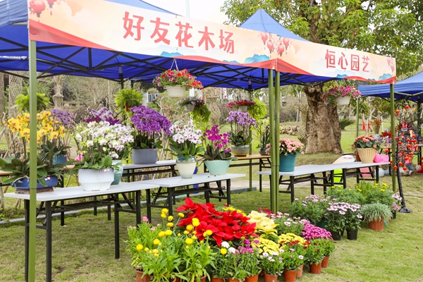 新春花市摊位 黄小倩摄.jpg