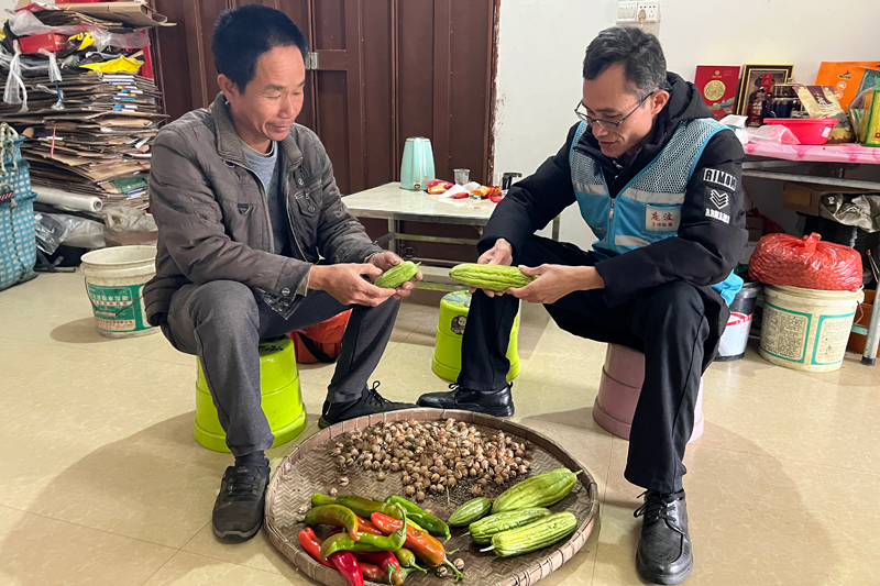 驻村队员了解脱贫户种植情况。曾丽元摄