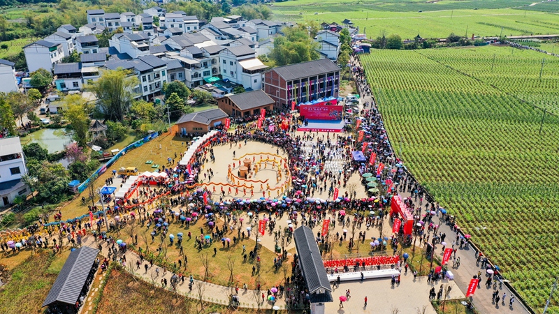 “春龙节”活动现场，12条祥龙舞动。龙州县委宣传部供图