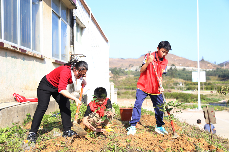 老師和學生正在種樹。