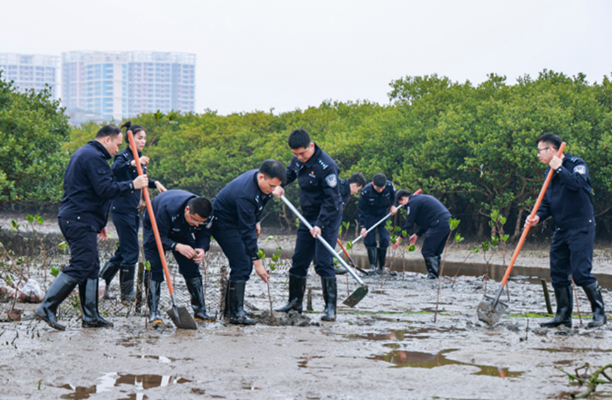 植树活动现场。吴业庆摄