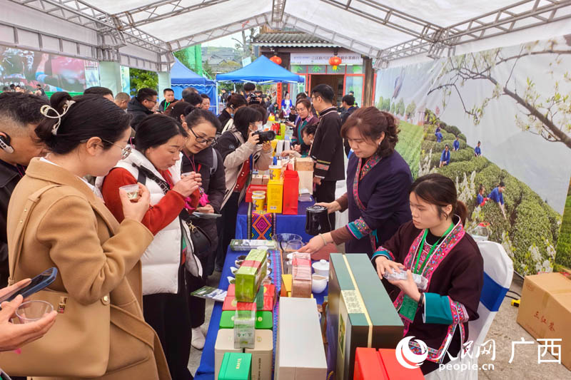 與會人員了解品鑒三江茶葉。人民網 付華周攝