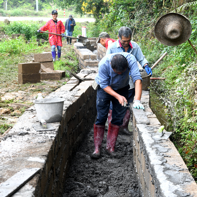 村民修建三面光水渠。