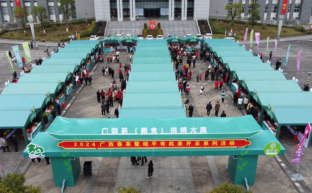 2024广西茶·美食供销大集活动在昭平成功举办