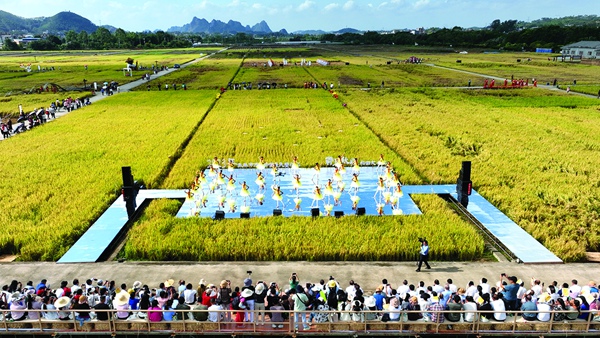 玉林市庆祝中国农民丰收节暨鬱上秋收稻田文化艺术节活动现场。蒋金泰摄