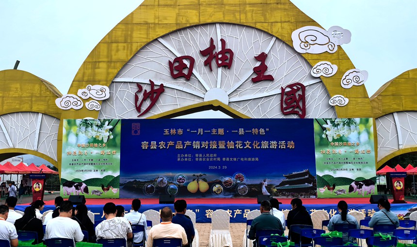 柚花文化旅游活动现场。容县县委宣传部供图