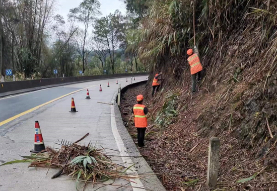 昭平公路養護中心在國道241線西坪路段修整路容路貌。吳澤修攝