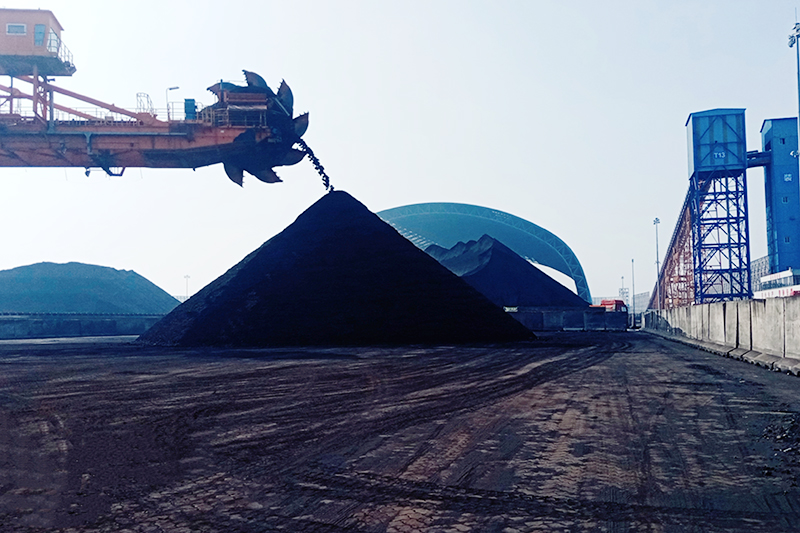 进口印尼煤装卸现场。广西供应链服务集团供图
