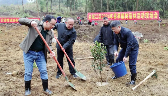 金城江区开展冬春农田水利建设和植树造林活动